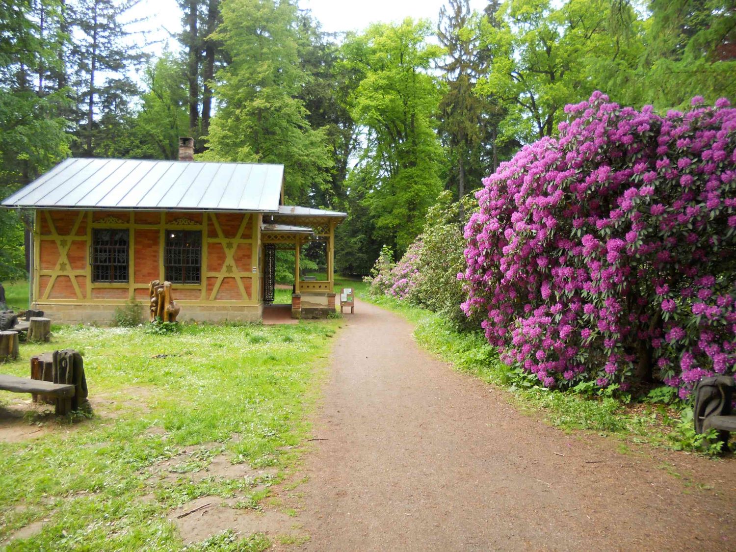 IC arboretum bukovina český ráj