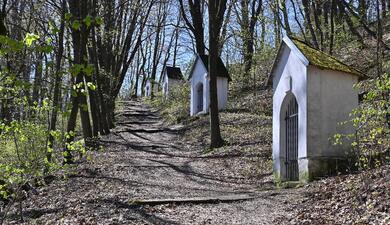 hodkovice nad mohelkou český ráj