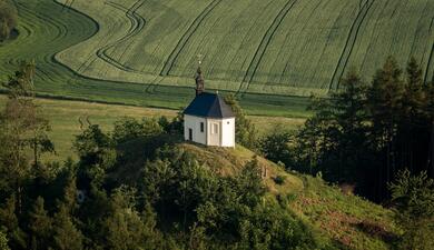 Vyskeř český ráj